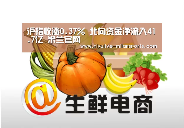 沪指收涨0.37% 北向资金净流入41.7亿_米兰官网(图1) 米兰俱乐部